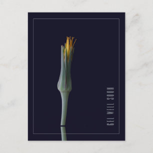 Cartão Postal Flores Personalizadas Simples e Elegantes para Ráp