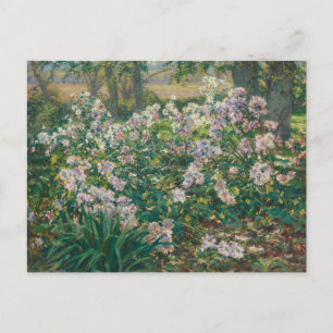 Cartão Postal Flores por Ruger Donoho Painting Wildflower