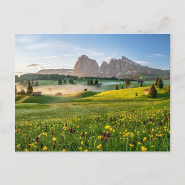 Cartão Postal Flores | Primavera Alpe di Siusi Langkofel (Frente)