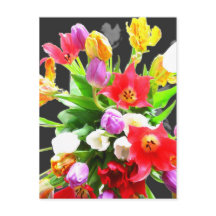 Flores primavera Tulip