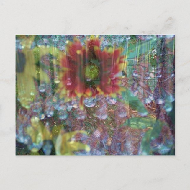 Cartão Postal Flores prisionais (Frente)