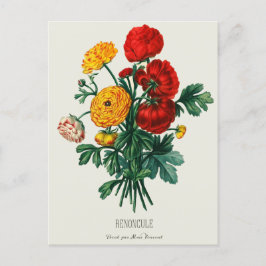 Cartão Postal Flores Ranunculus, Vermelhas e Amarelas, Buquês An