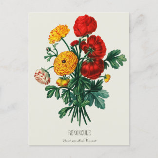 Cartão Postal Flores Ranunculus, Vermelhas e Amarelas, Buquês An