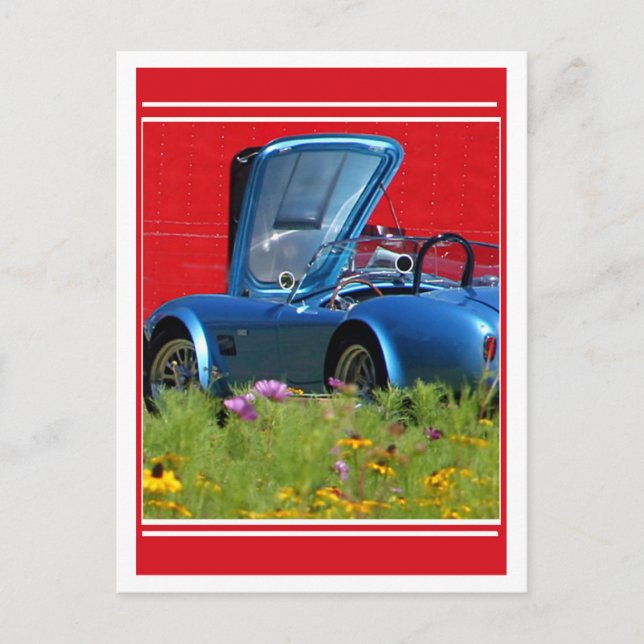 Cartão Postal Flores rápidas (Frente)