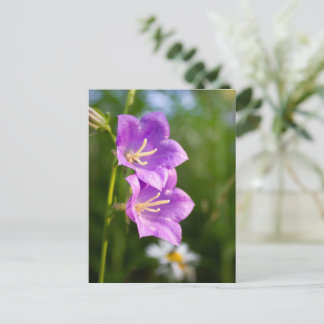 Cartão Postal Flores Românticas – Fantasia Botânica Boho