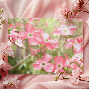 Cartão Postal Flores Rosa Em Um Cartão-Postal Verde
