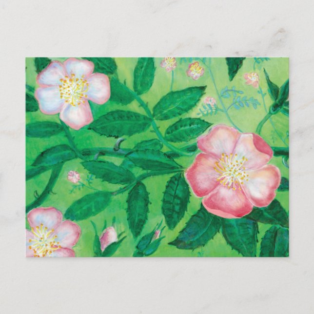 Cartão Postal Flores rosa selvagens (Frente)