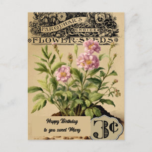 Cartão Postal Flores Rosa Vintage Três centavos de Aniversário