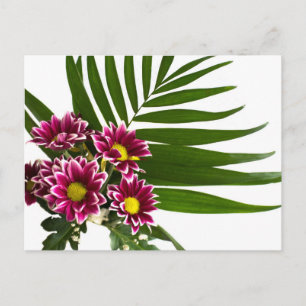 Cartão Postal Flores roxas