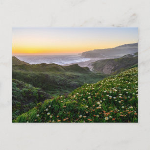 Cartão Postal Flores   Santa Cruz Califórnia