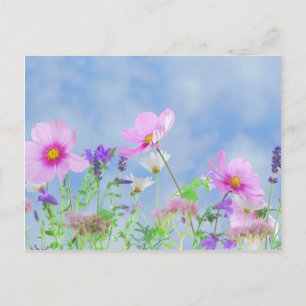 Cartão Postal Flores selvagens