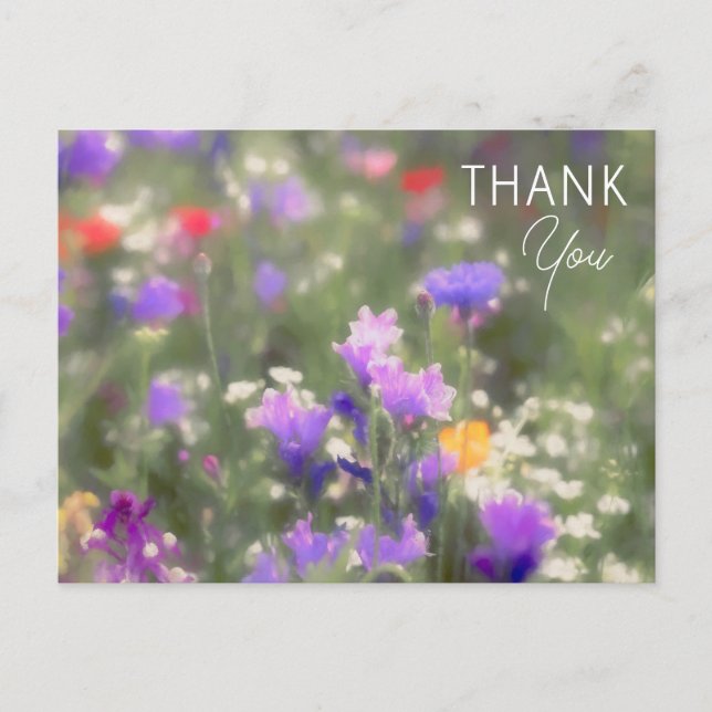 Cartão Postal Flores selvagens (Frente)