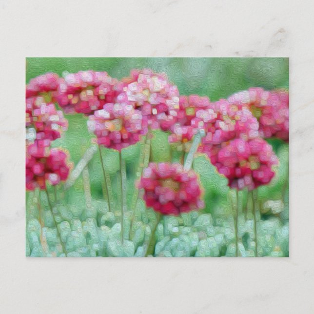 Cartão Postal Flores selvagens (Frente)