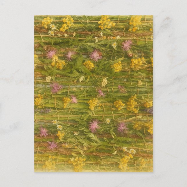 Cartão Postal Flores Selvagens Letãs - Natureza Preservada (Frente)