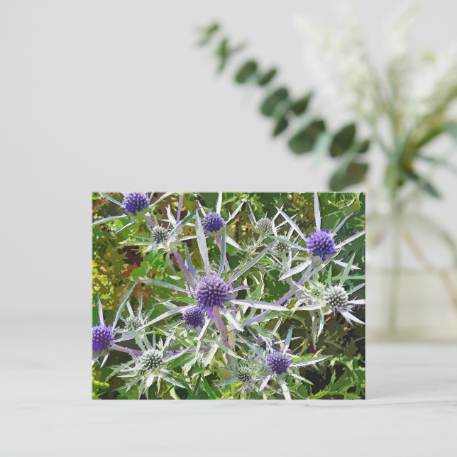 CARTÃO POSTAL FLORES SILVESTRES (Em pé/Frente)