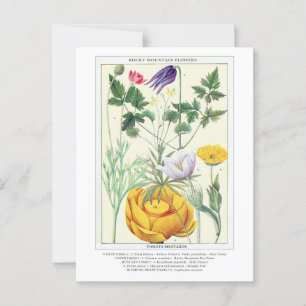 Cartão Postal Flores Silvestres Botânicas Antigas das Montanhas 