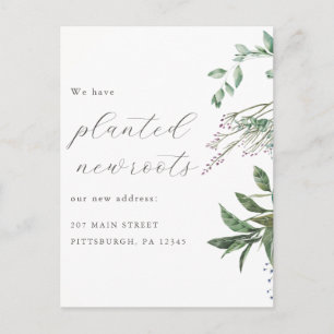 Cartão Postal Flores Silvestres Botânicas Plantadas Novas Raízes