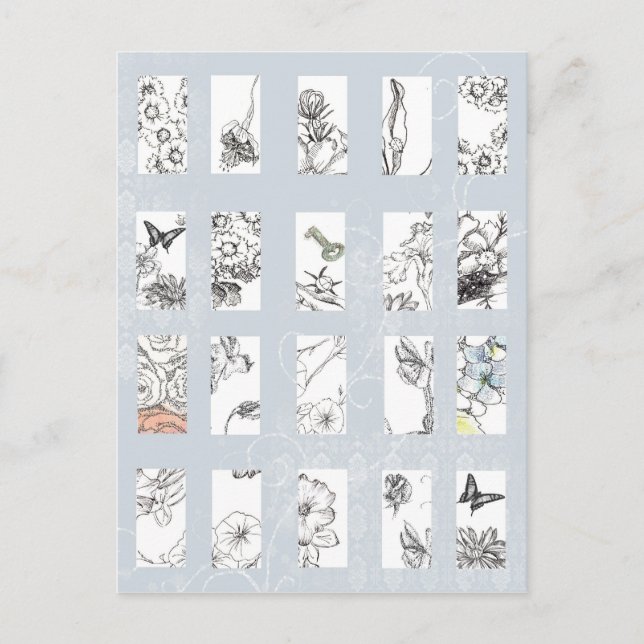 Cartão Postal Flores silvestres Canetas de tinta preta Desenhos  (Frente)