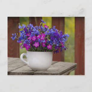 Cartão Postal flores silvestres, cravos e girassol