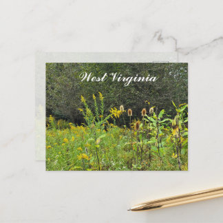 Cartão Postal Flores Silvestres da Virgínia Ocidental