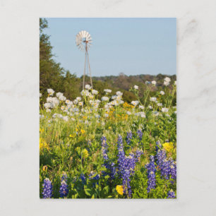 Cartão Postal Flores Silvestres e Moinho de Vento no Texas Hill