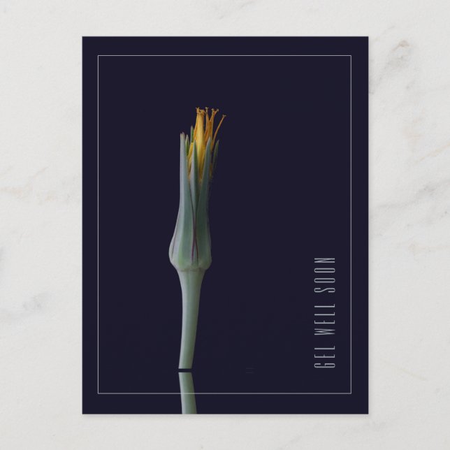 Cartão Postal Flores Simples e Elegantes Personalizadas para Mel (Frente)