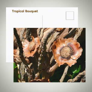 Cartão Postal Flores Tropicais Secas de Coco Floral