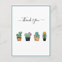 Flores Verde Cacto Fofo