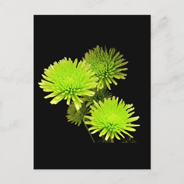 Cartão Postal Flores Verdes (Frente)