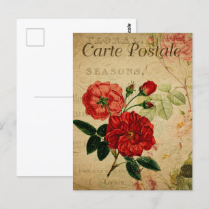 Cartão Postal Flores Vermelhas Antigas