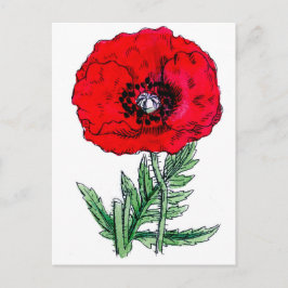 Cartão Postal flores vermelhas da papoila vinha florescente