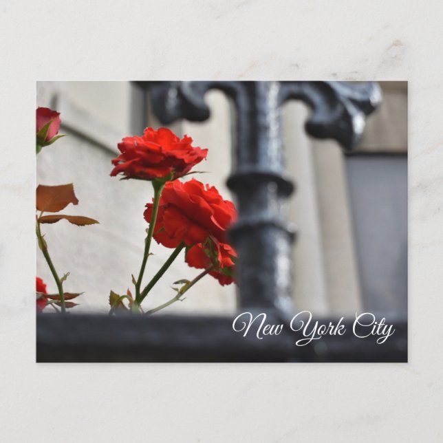 Cartão Postal Flores Vermelhas Feitas Fotografia Nova Iorque de  (Frente)