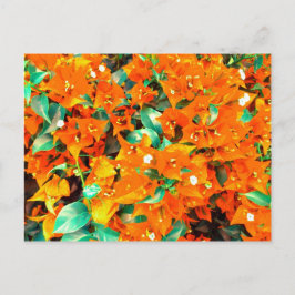 Cartão Postal Flores Vibrantes de Laranja Bougainvillea