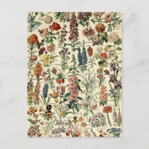 Cartão Postal Flores Vintage por Adolphe Millot