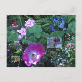 Cartão Postal florescer acima de tudo floração