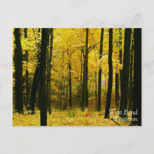 Cartão Postal Floresta Amarela de outono
