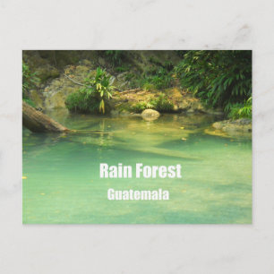 Cartão Postal Floresta Chuva, Guatemala