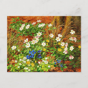 Cartão Postal Floresta com Anêmonas e Violetas