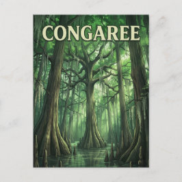 Cartão Postal Floresta Congaree
