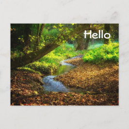 Cartão Postal Floresta Creek Belo Paisagem Natural