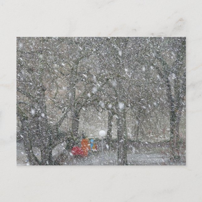 Cartão Postal Floresta da nevasca (Frente)