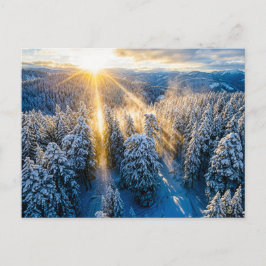 Cartão Postal Floresta de abetos nevada vista aérea