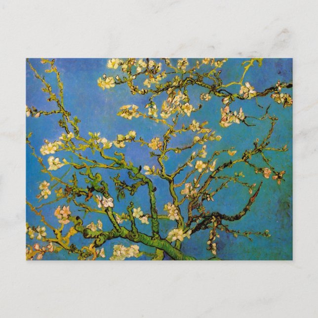 Cartão Postal Floresta de Amêndoa Brilhante por Vincent van Gogh (Frente)