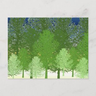 Cartão Postal Floresta de Árvores