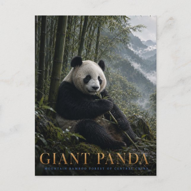 Cartão Postal Floresta de Bambu do Panda Gigante ANIMAIS (Frente)