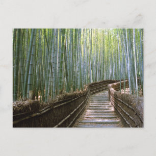 Cartão Postal Floresta de Bambu: Kyoto, Japão