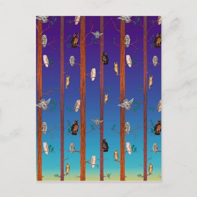 Cartão Postal Floresta de coruja (Frente)