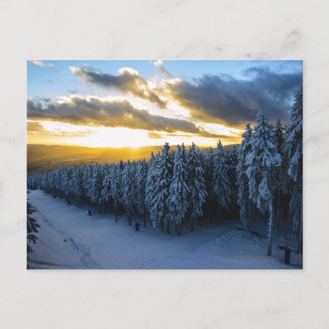 Cartão Postal Floresta de inverno (Frente)