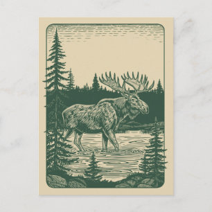Cartão Postal Floresta de Inverno Terra Moose no Lago
