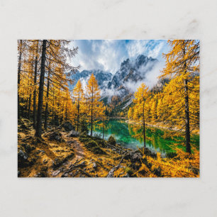 Cartão Postal Floresta de lariço dourada junto ao lago da montan